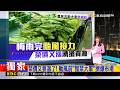 菜價又要漲了！ 颱風前「囤菜大軍」擠爆市場   2026/07/07【吳宇舒晚報】 @newsebc