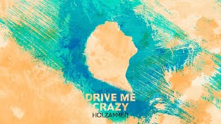 Holzammer - Drive Me Crazy (Extended Mix)