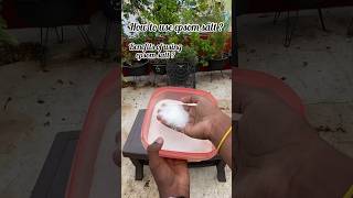 Benefits Of Using Epsom Salt For Plants