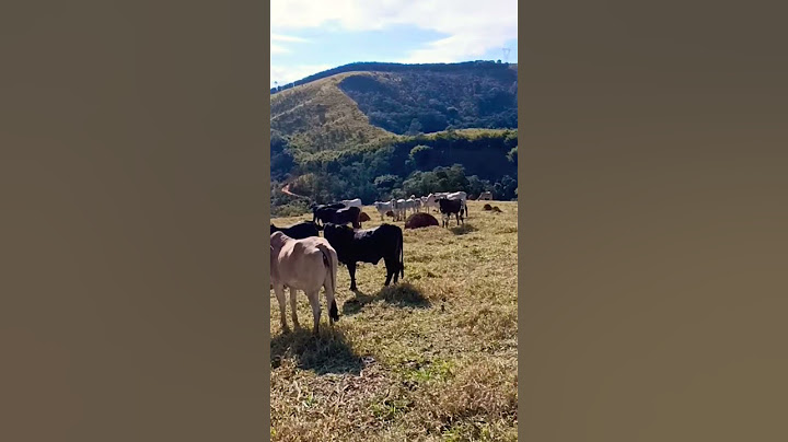 sonho que virou realidade