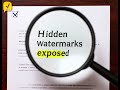 Which AI Chatbot Has Hidden Watermarks Students Should Know About?