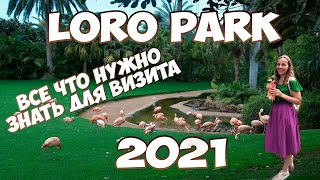 Лучшее Место Для Посещения На Тенерифе - Лоро Парк 2021 -  Loro Parque -   Loro Park 2021