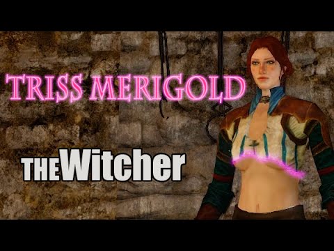 Dark Souls II - The Witcher Mod