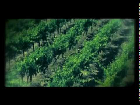 Vasco Rossi - Vivere una favola