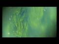 Vasco Rossi - Vivere una favola - YouTube