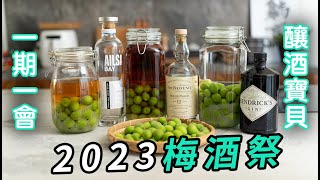 2023梅酒祭，與你相約每一年ㄉ梅雨季～