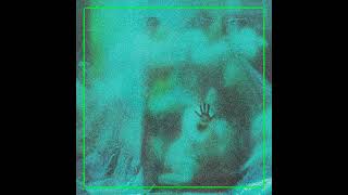 Shida Shahabi - Sylvestris