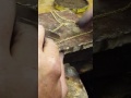 Repairing a hollow rope chain