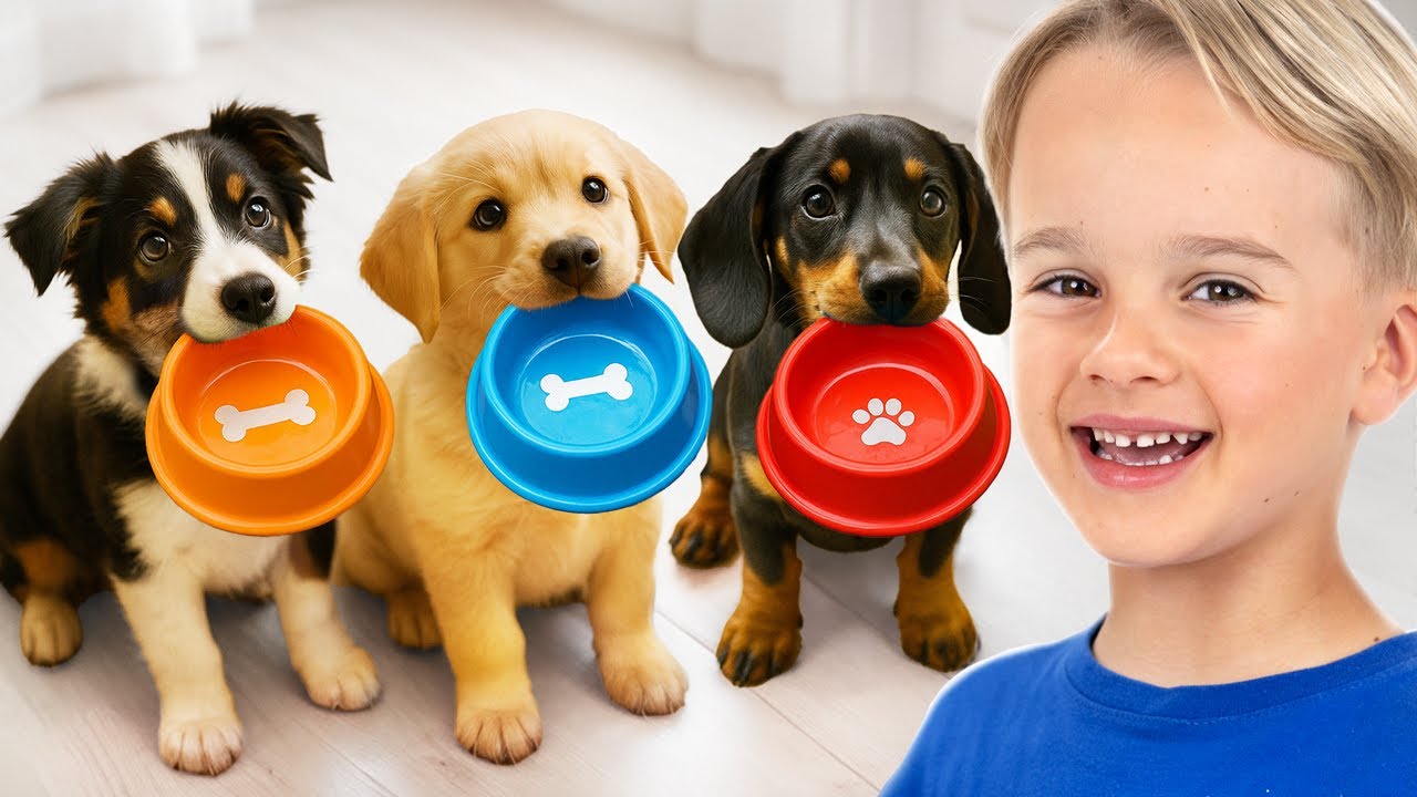 Дети ухаживают за животными в приюте - Забавные истории для детей