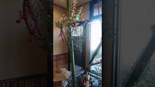 和菓子 ギフト 贈答品 口コミ 人気 群馬 富岡