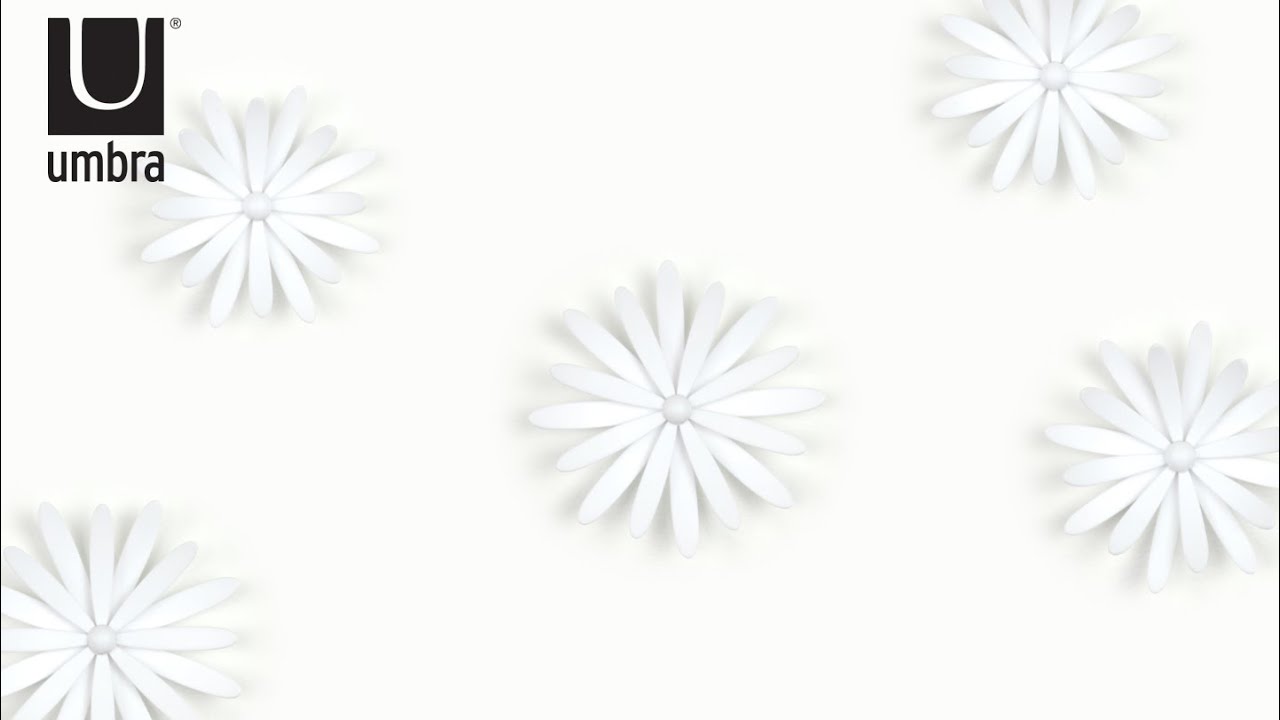 Umbra Wall Decor delica wall decor | umbra - youtube Umbra Wall Decor delica wall decor | umbra - youtube