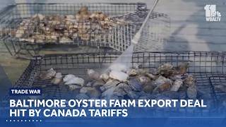 Baltimore oyster farm export deal hit by Canada tariffs