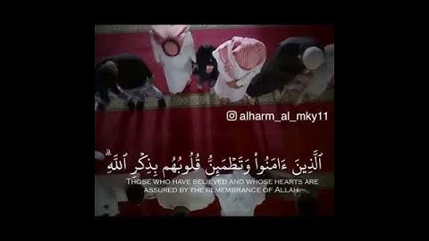 تلاوه نادره من سورة الرعد للشيخ عبدالمحسن القاسم
