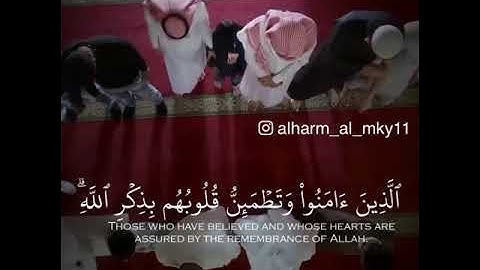 تلاوه نادره من سورة الرعد للشيخ عبدالمحسن القاسم