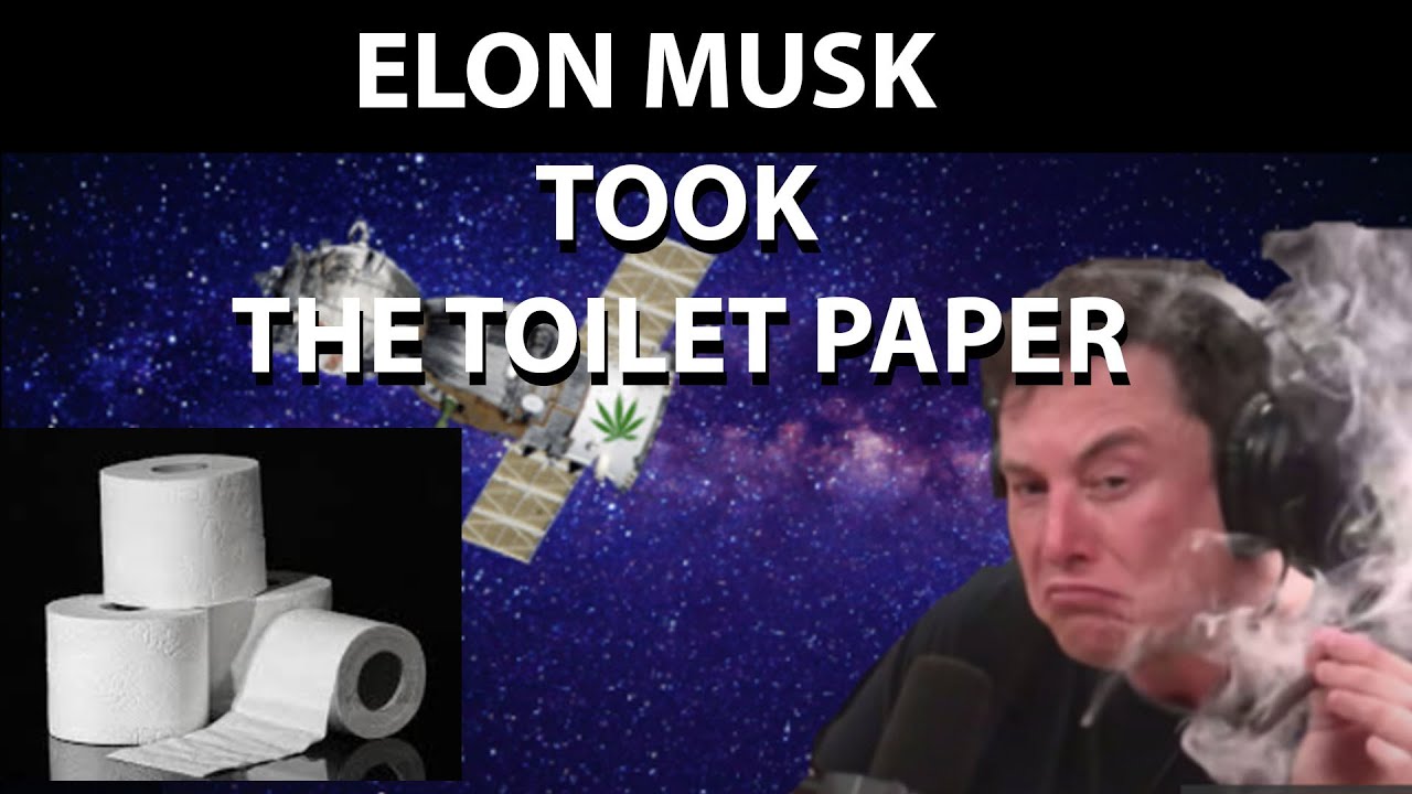 ELON MUSK TOOK THE TOILET PAPER! YouTube