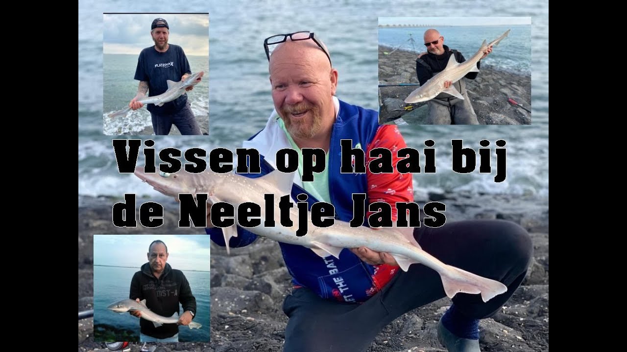 VISSEN OP HAAI IN ZEELAND – CHECK DEZE VIDEO! 🦈