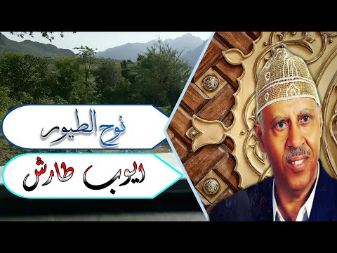 نوح الطيور ايوب طارش اغاني يمنيه حالات واتساب يمنيه صورمن اليمن اليمن حالات تصاميم 