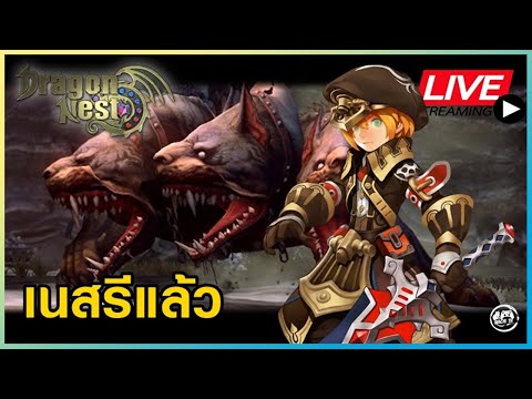 🔴Dragon Nest Rewind [Live.11] – เคลียร์เนสรายสัปดาห์กัน ราคาเซ็ตหมากำลังสวยเลย