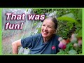 Thoughts on Plant Structure + First Blueberry Harvest!