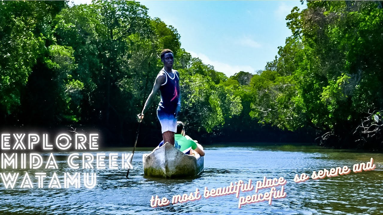 Explore Mida Creek Watamu