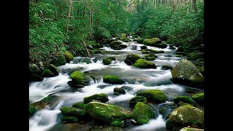 سورة الملك بصوت القارئ زايد العطية ٱل عطية