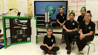 Team 1251B 2019 VEX IQ World Championship STEM Video