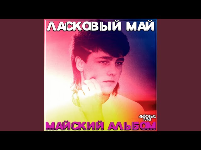 Бездомный пес