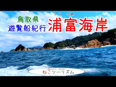 【猫と旅行】遊覧船紀行『浦富海岸』【鳥取県】