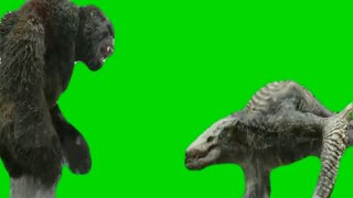 Green Screen - Kong vs Skull Crawler