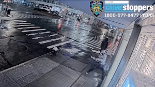 Hundreds of thousands of dollars in handbags stolen from Manhattan auction house