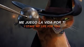 Me Juego La Vida Por Ti Frase Que Representa Al Gato Con Botas Chayanne - Torero Letralyrics