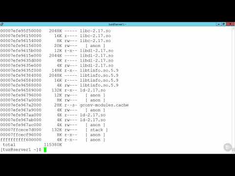 29   Using pwdx and pmap