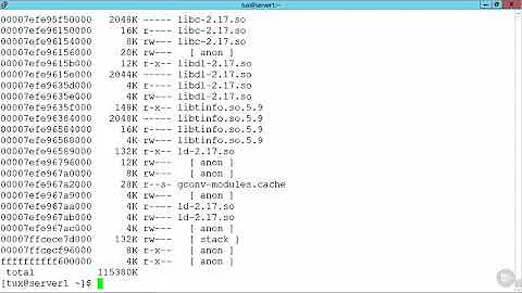 29   Using pwdx and pmap