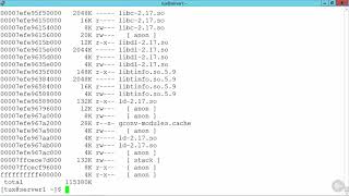 29 Using Pwdx And Pmap
