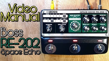 Video Manual: Boss RE-202 Space Echo (firmware update V1.10)