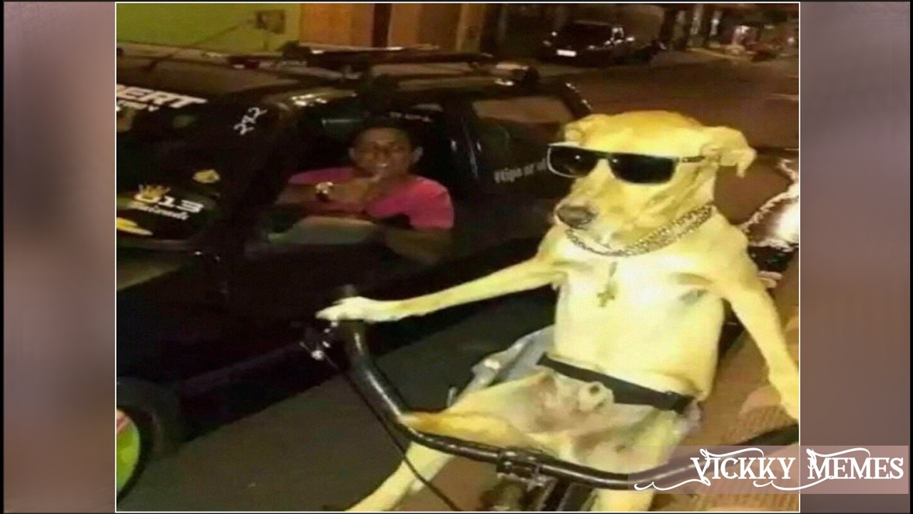 Bruh never watching gas station memes again