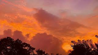 Evening Sky Timelapse 🌙✨ | Sunset Fade into Starry Night (4K Relaxing View) Day 40 #timelapse 