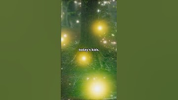 Are We the Last to See Fireflies #shorts #shortsfeed #shortsviral #shortvideo #animals #firefly