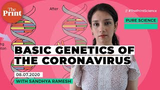 Basic genetics of the Coronavirus