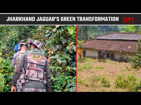 Jharkhand Jaguar’s Green Transformation