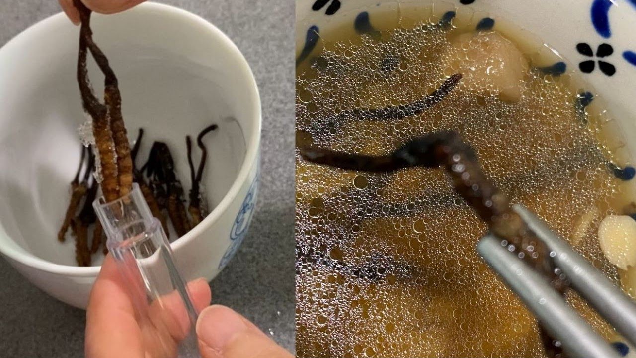 Stewed Soup of Cordyceps Sinensis with Chicken Legs 冬蟲夏草燉雞湯