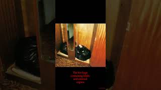 What Police Found in His Closet Will Shock You 🛑 #truecrimestories #crime #documentary