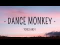 Tones and I - Dance Monkey (Lyrics) (Chipmunks Version)