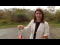Kate's Corner: Popping Pumpkin