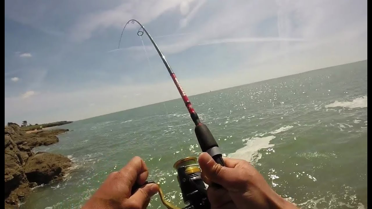 Pêche du BAR aux leurres souples début mai 2019