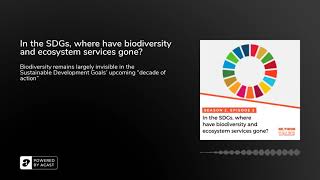 In the SDGs, where have biodiversity and ecosystem services gone?