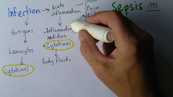 Sepsis 1,  Infection and response