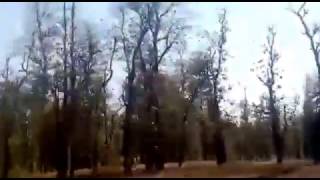 VID 20150309 WA0066 1
