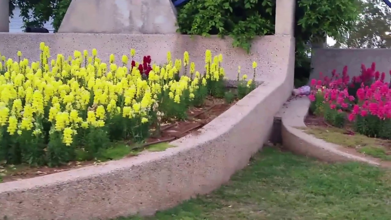 Holon is the most beautiful city in Israel