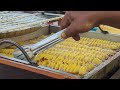 Delicious 😋 Fry potatoes Makings Process step by Step | Potatoes chips making | Chips making